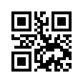 QR code 595569