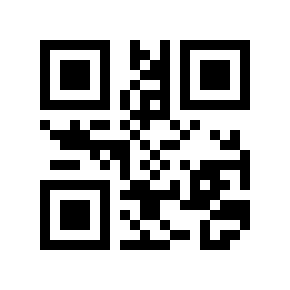 QR code 600004
