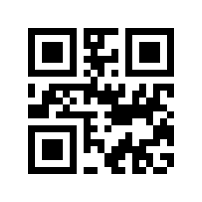 QR code 600011