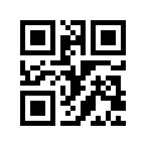 QR code 6560996
