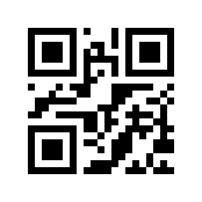 QR code 6666681