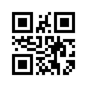 QR code 6666689