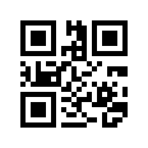 QR code 690704