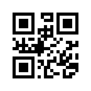 QR code 691571