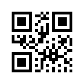 QR code 691577