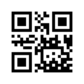 QR code 691585