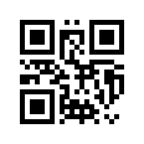 QR code 691596