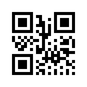 QR code 691598