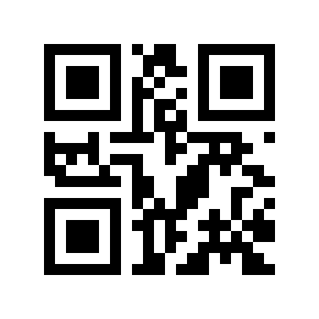 QR code 787313