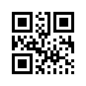 QR code 804081