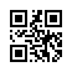 QR code 8060978