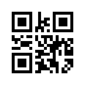 QR code 8060995