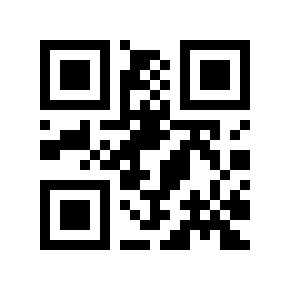 QR code 818844