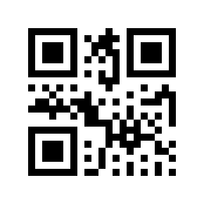 QR code 818848