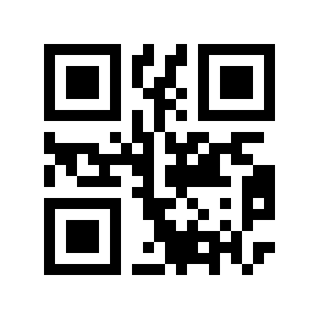 QR code 818868