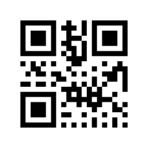 QR code 818873