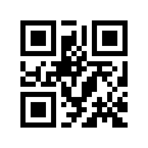 QR code 825028