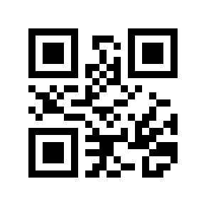 QR code 825029