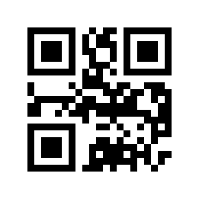 QR code 825041