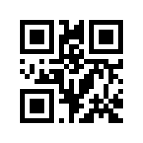 QR code 848499