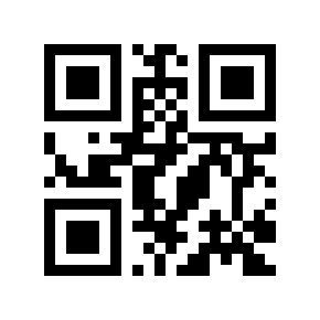 QR code 848503