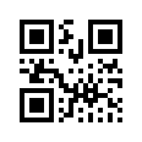QR code 848529