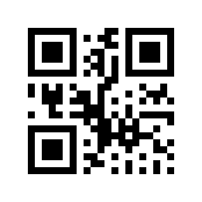 QR code 848533