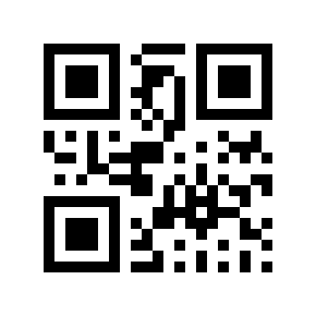 QR code 848538