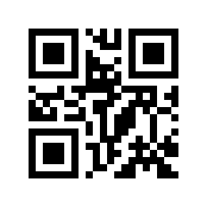 QR code 856831