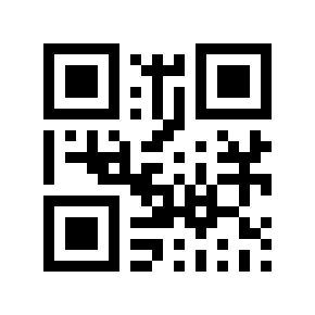 QR code 862119