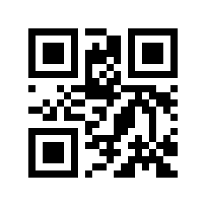 QR code 862463