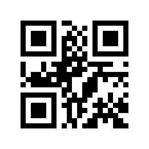 QR code 863658
