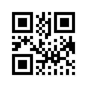 QR code 868047