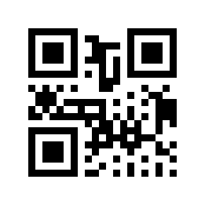 QR code 869563