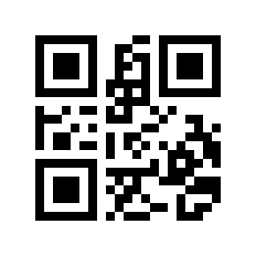 QR code 869568