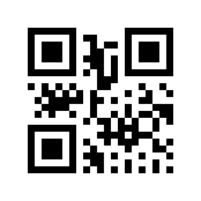 QR code 875255