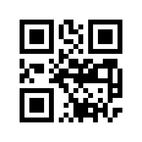 QR code 875256