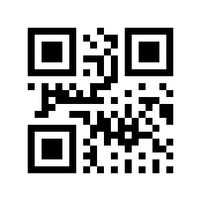 QR code 875328