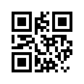 QR code 876505