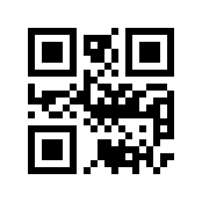 QR code 876528