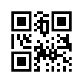 QR code 876533