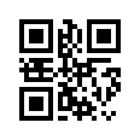 QR code 876538