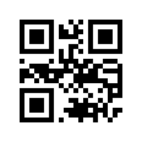 QR code 876617