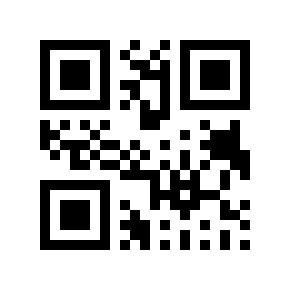 QR code 876619