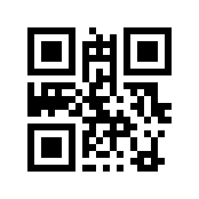 QR code 8804
