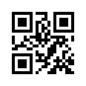 QR code 897313