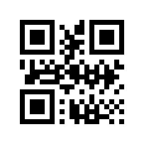 QR code 9061009