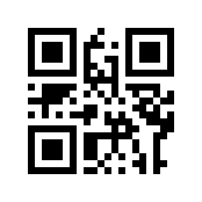 QR code 9101978