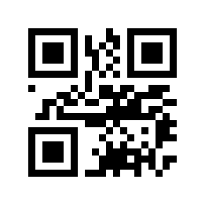 QR code 91051