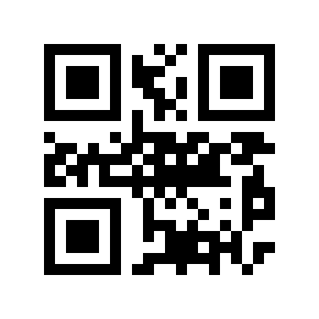 QR code 913100